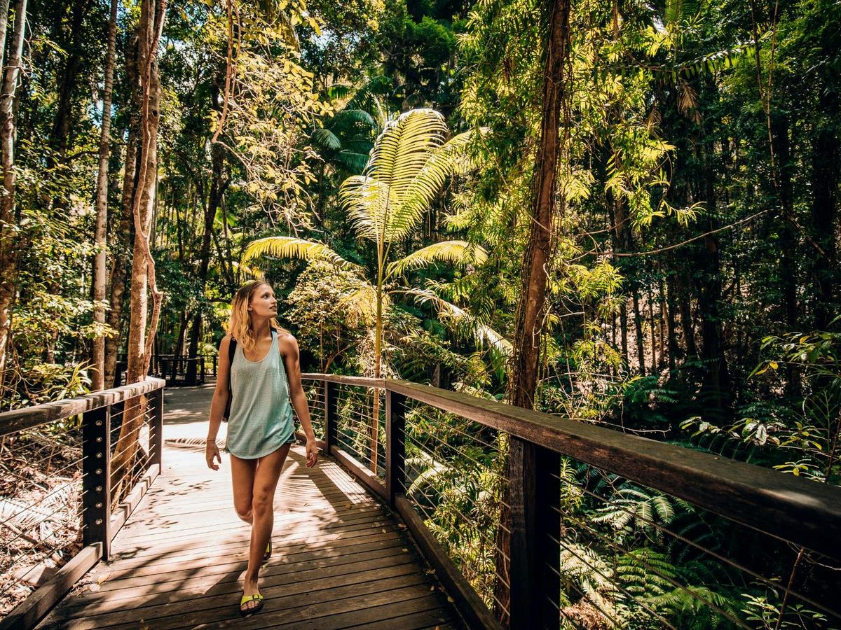 10 Day Budget Brisbane to Cairns Semi-Guided East Coast Tour
