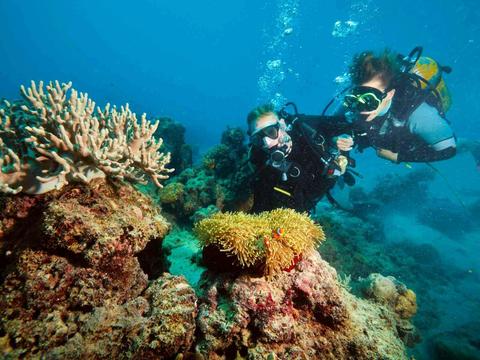 3 Week Ballin' Cairns to Sydney Semi-Guided East Coast Tour