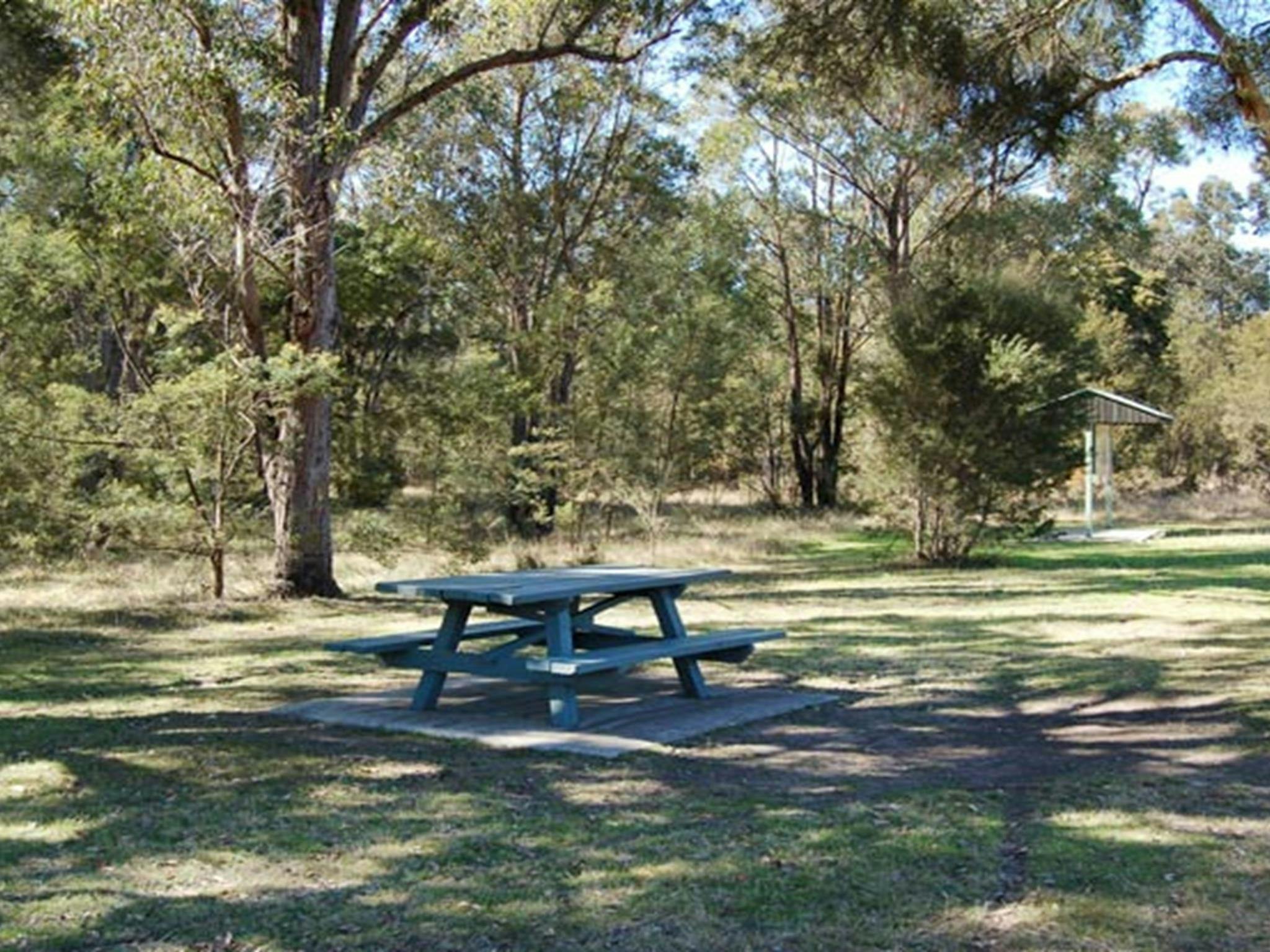 Astills Picnic Area, Werakata National Park. Photo: Susan Davis/NSW Government
