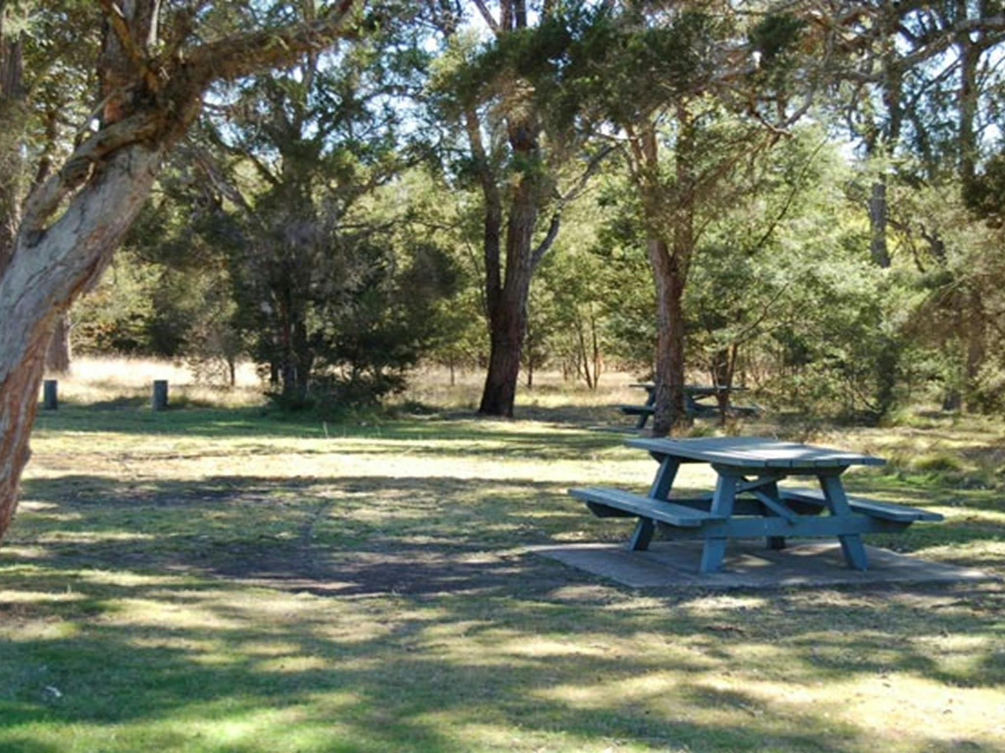 Astills Picnic Area, Werakata National Park. Photo: Susan Davis/NSW Government