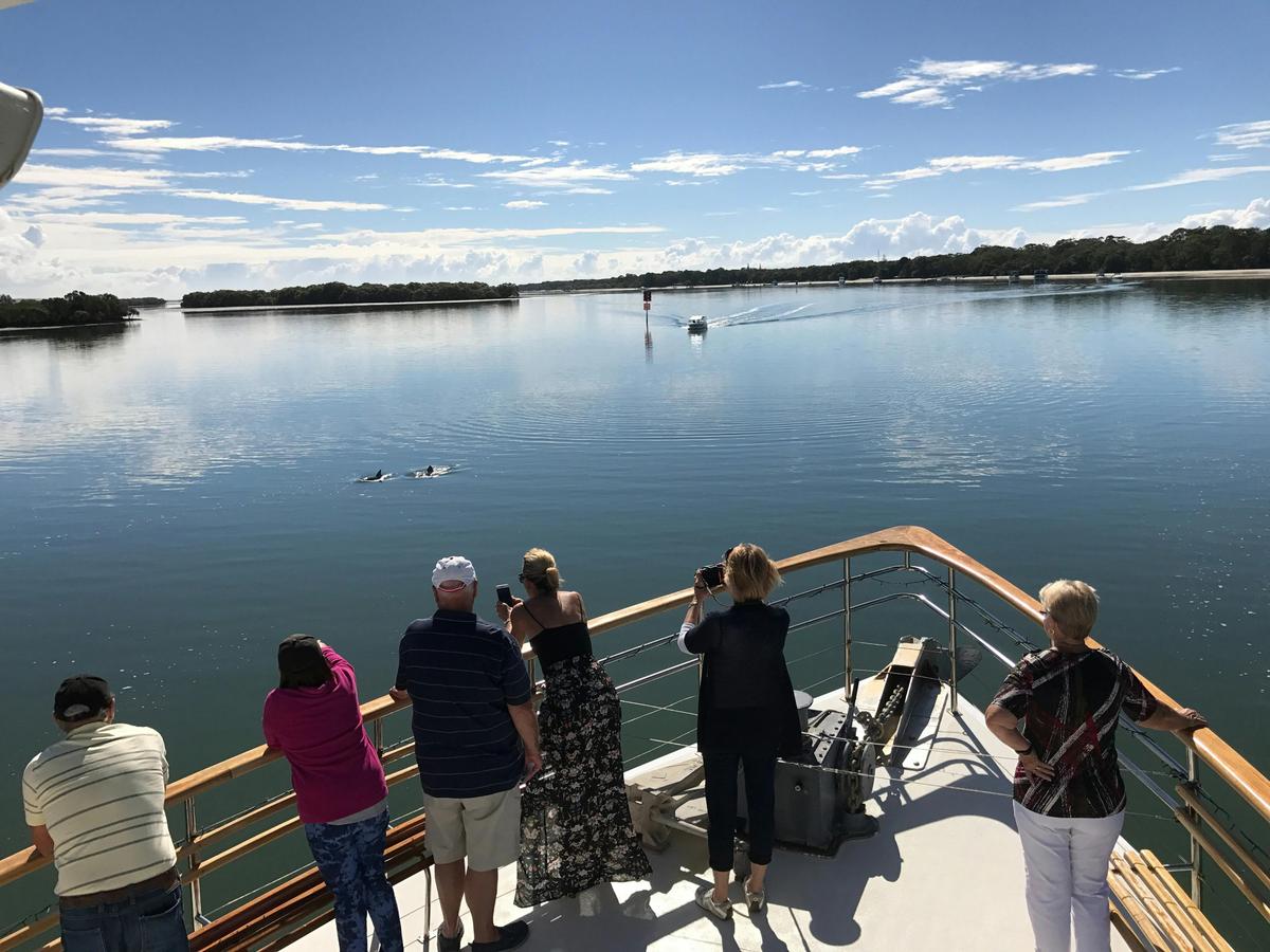 Lady Brisbane, dolphins at Tippler's