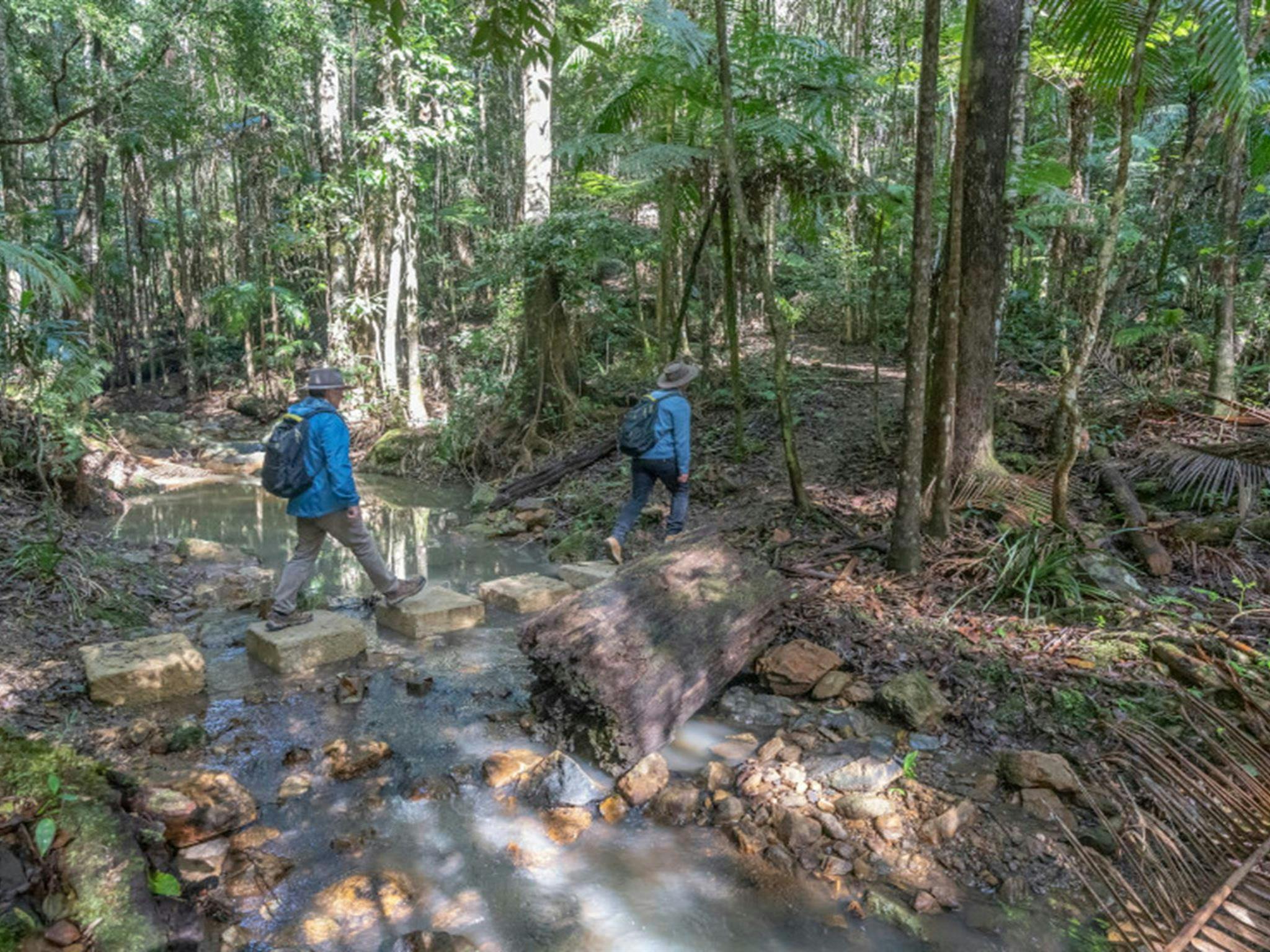 2 bushwalkers on Unicorn Falls walking track. Credit: John Spencer &copy; DPE