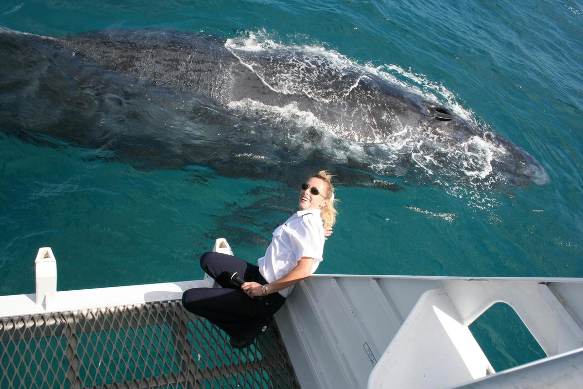 Premium Whale Watching Adventure