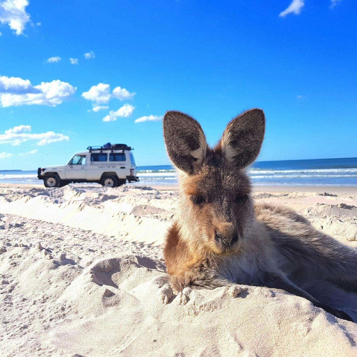 GDay Adventure Tours 4WD Bribie Island experiences