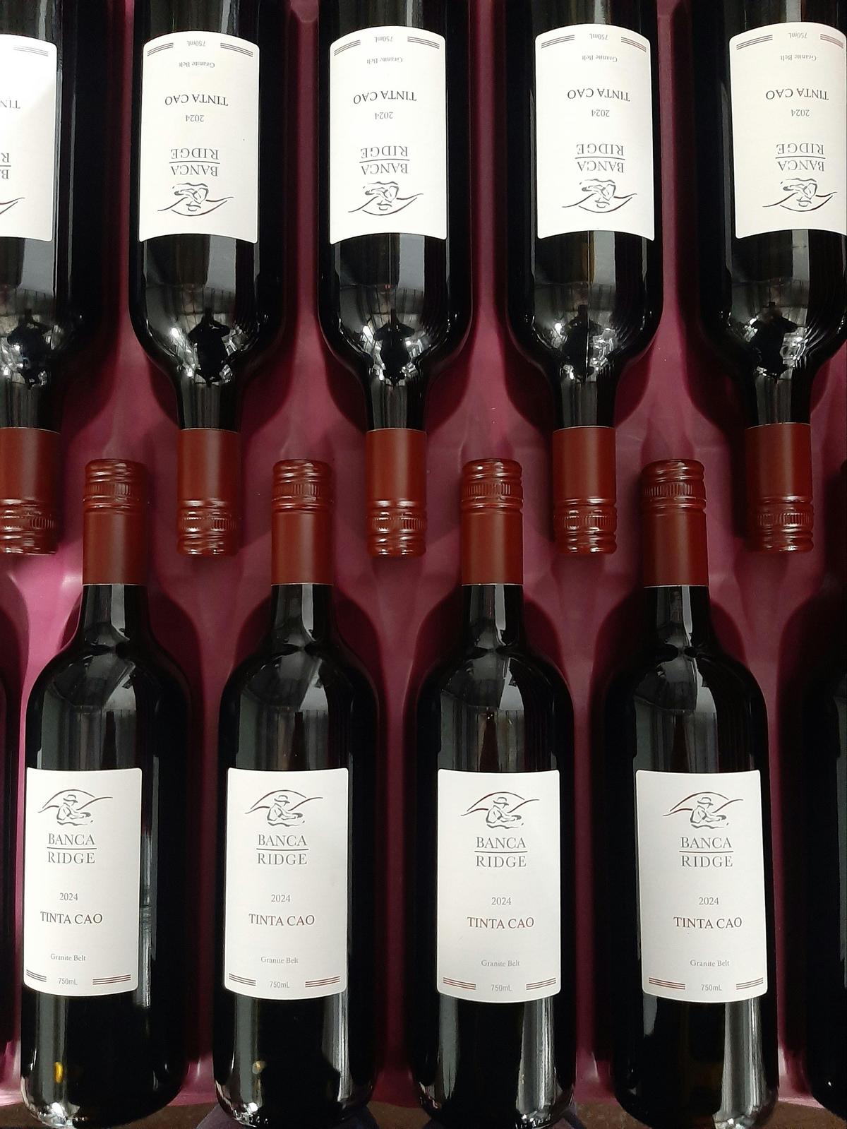 Bottles of Tinta Cão red wine displayed in pink plastic storage trays
