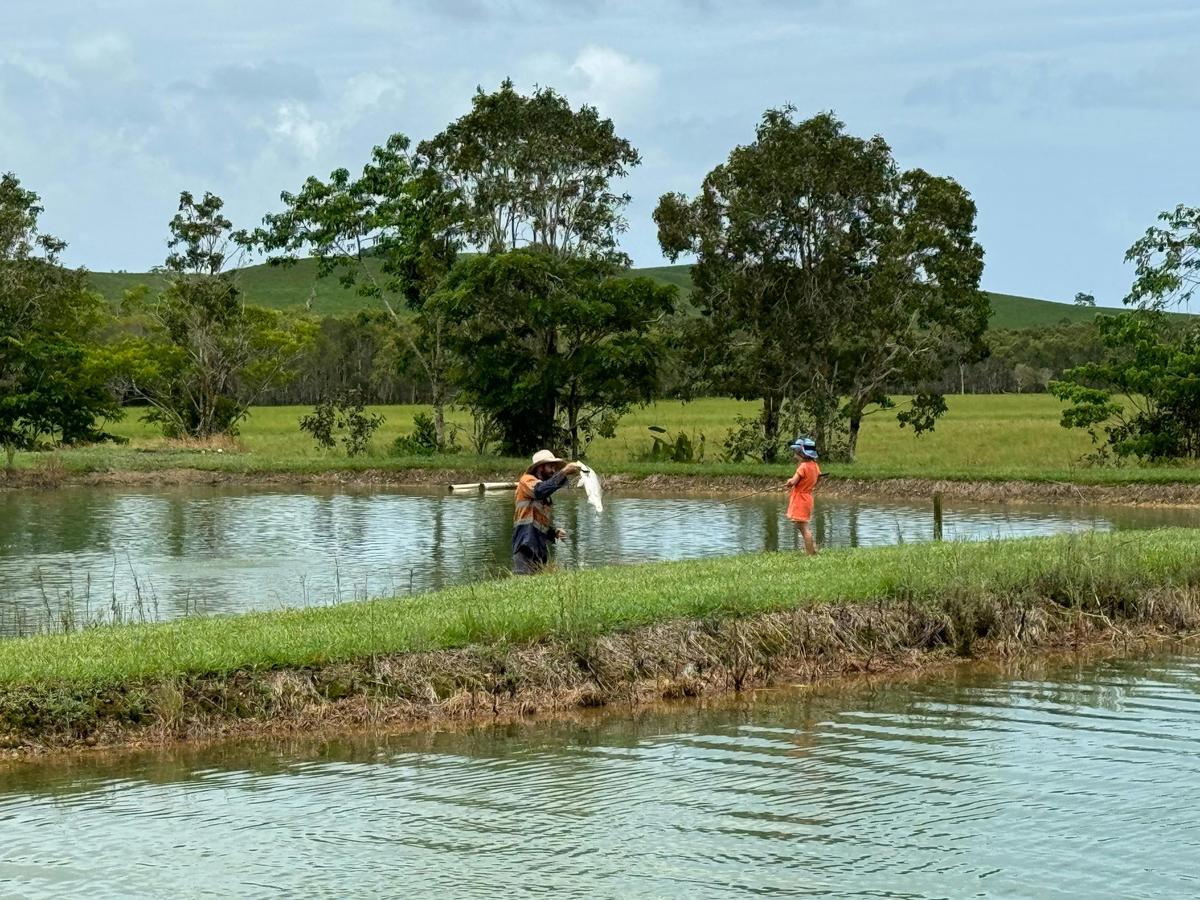 Barra Fishing