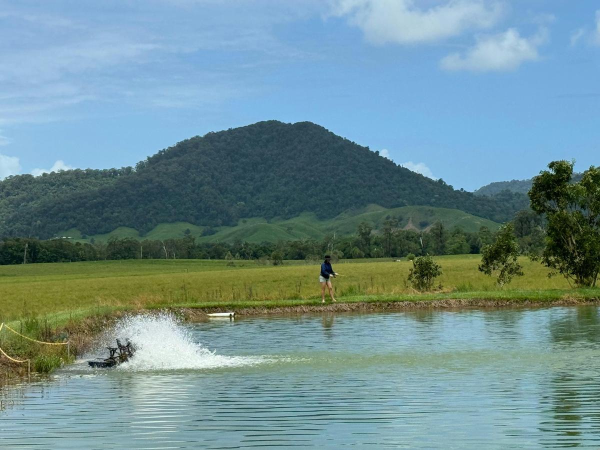 Barra Ponds