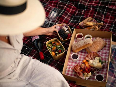 Picnic in the Vines at Balancing Heart Vineyard