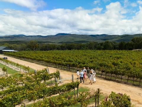 Balancing Heart Vineyard - Tours and Experiences