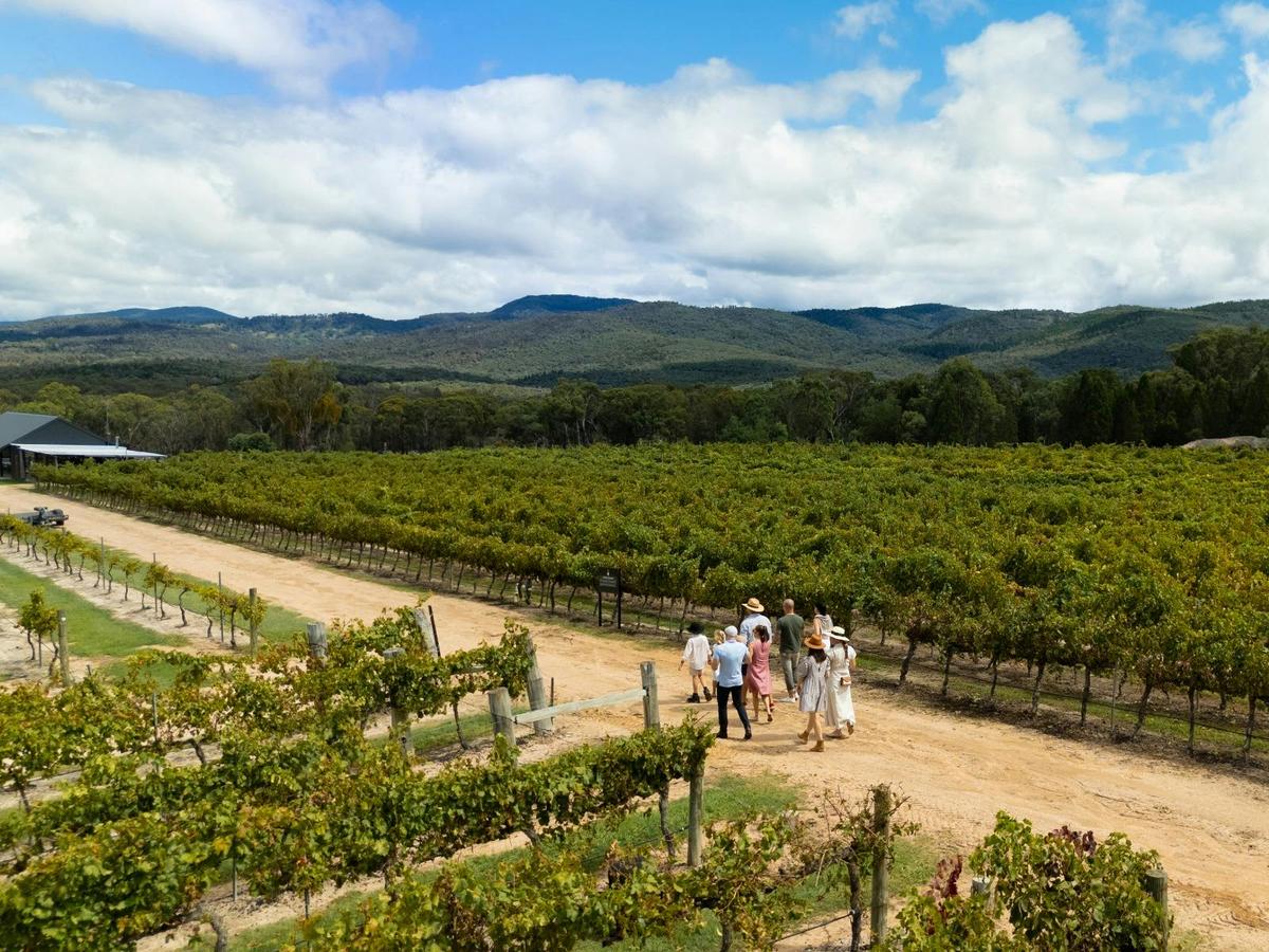 Stunning vineyard strolls at Balancing Heart Vineyard on the Granite Belt, South-East Queensland