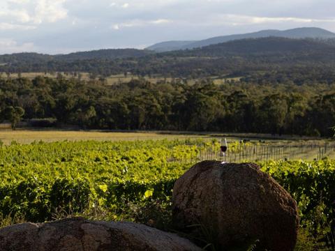 Philosophy of Wine Masterclass at Balancing Heart Vineyard