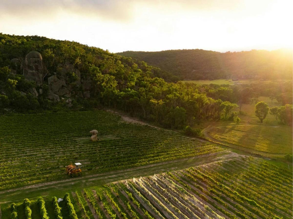 Dawn at Balancing Heart Vineyard on the Granite Belt, South-East Queensland