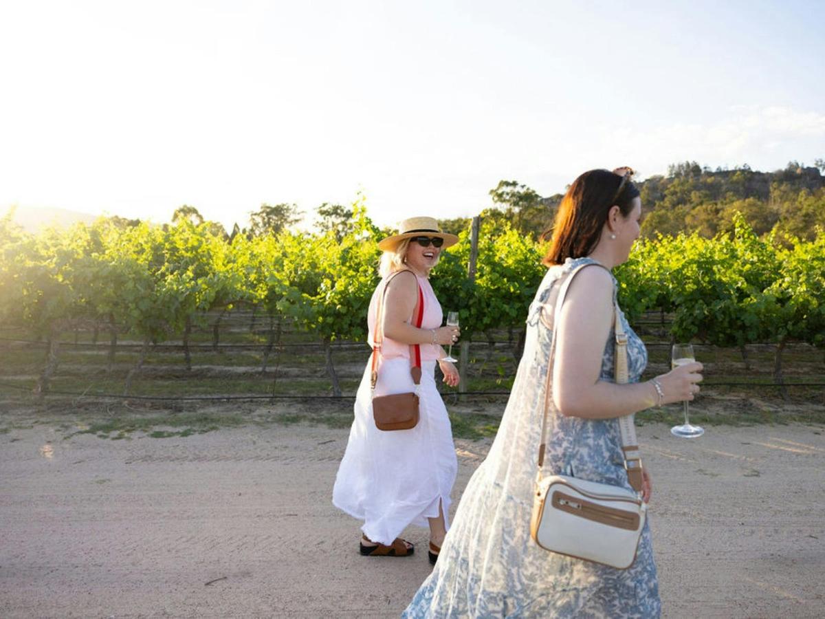 Free self-guided vineyard tour of Balancing Heart Vineyard