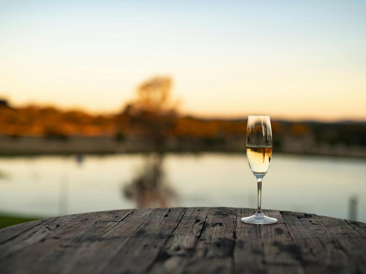 Aficionado Wine Masterclass at Balancing Heart Vineyard