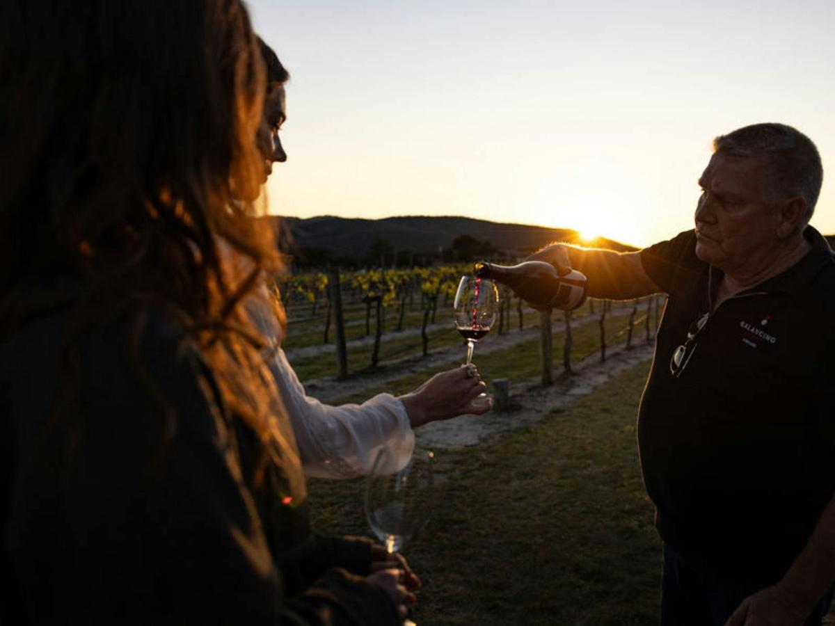 Philosophy of Wine Masterclass at Balancing Heart Vineyard