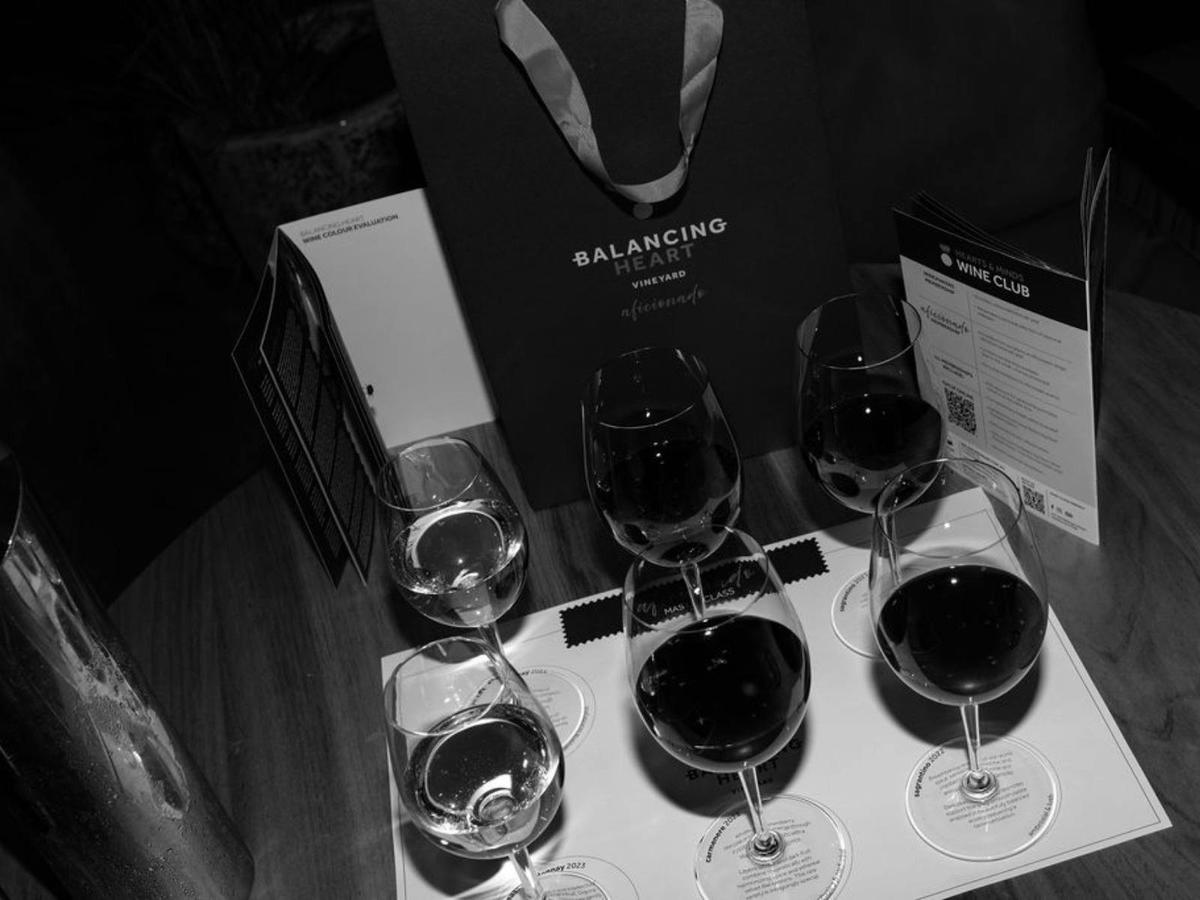 Aficionado Wine Masterclass at Balancing Heart Vineyard