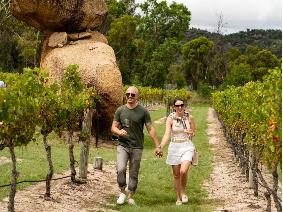 Picnic in the Vines at Balancing Heart Vineyard