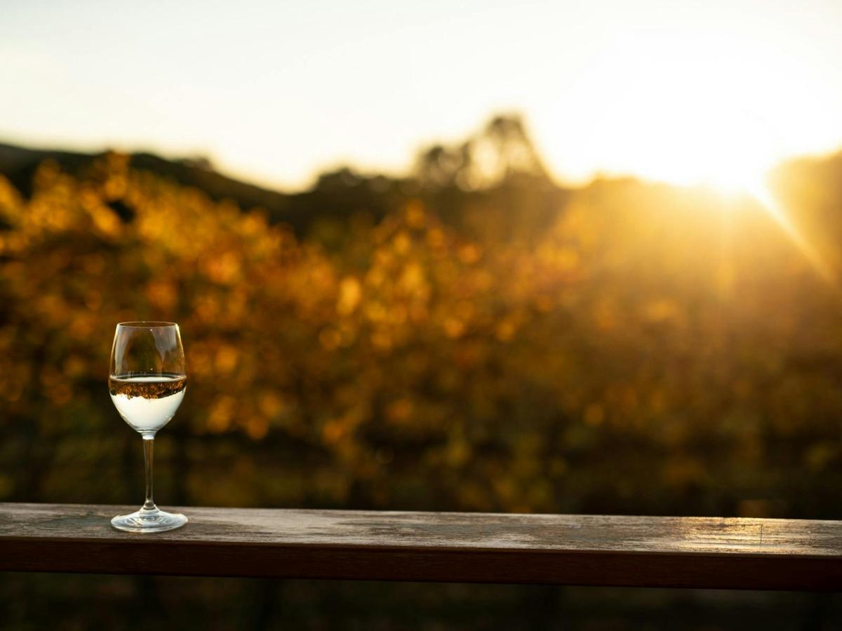 Aficionado Wine Masterclass at Balancing Heart Vineyard