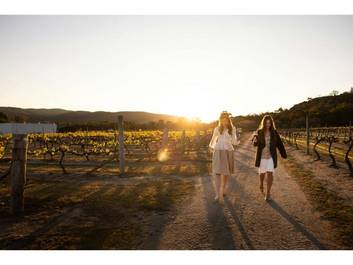 Philosophy of Wine Masterclass at Balancing Heart Vineyard
