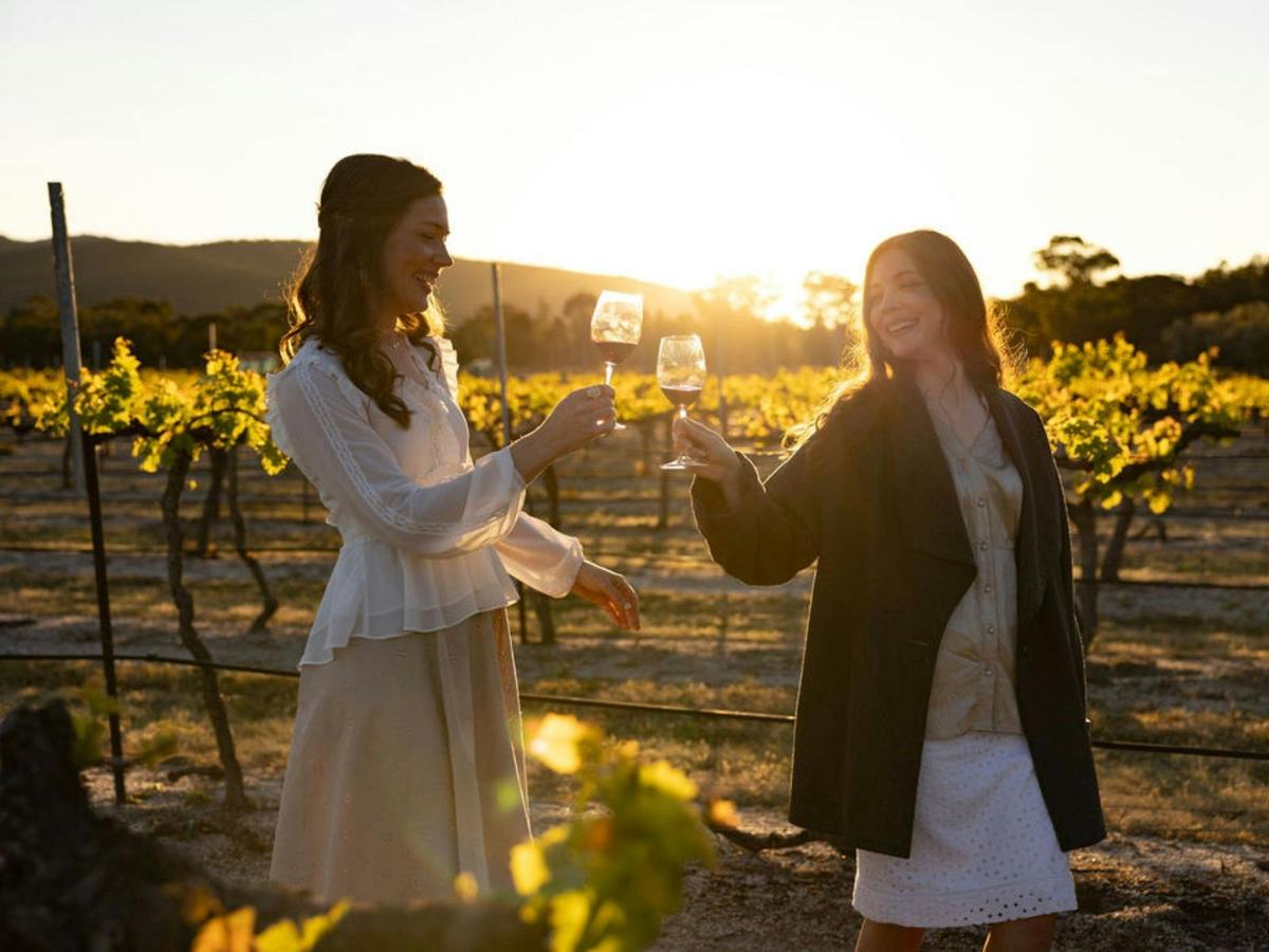 Free self-guided vineyard tour of Balancing Heart Vineyard