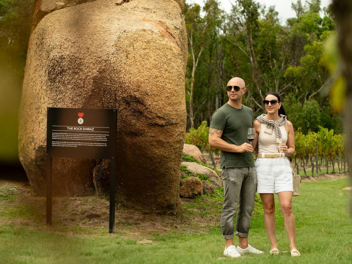 Free self-guided vineyard tour of Balancing Heart Vineyard