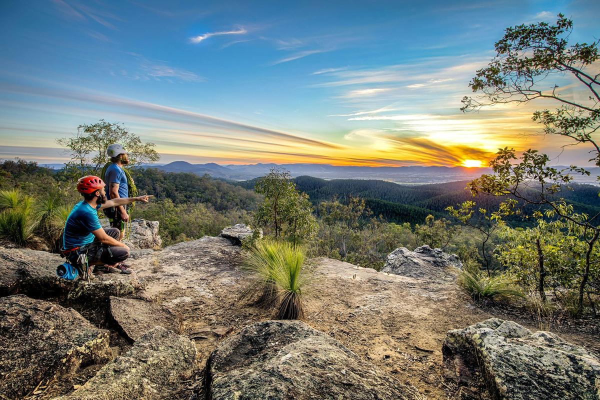 Brooyar State Forest