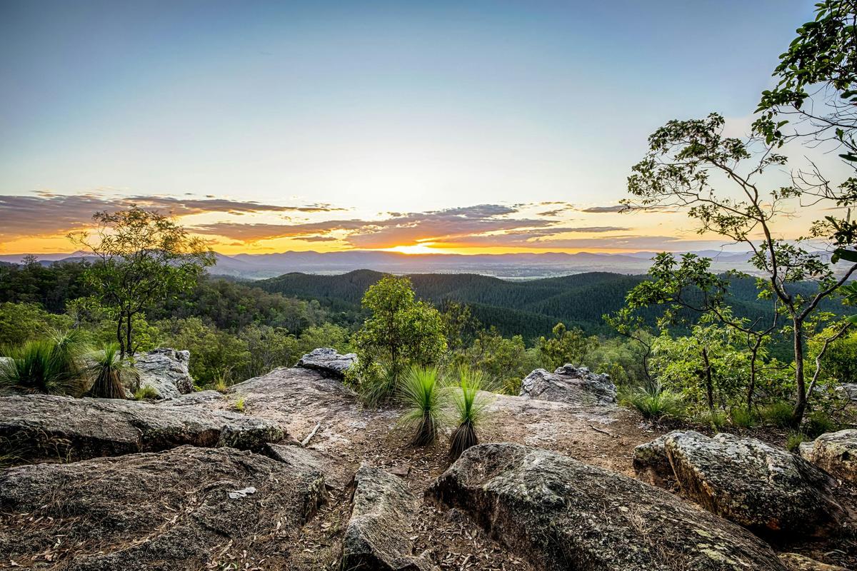 Brooyar State Forest