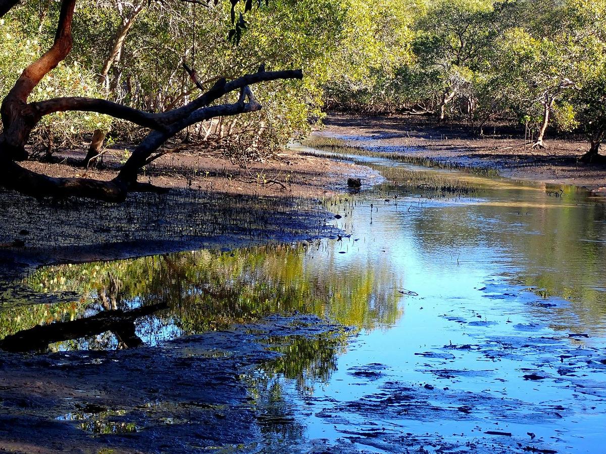 North Stradbroke Island Tour
