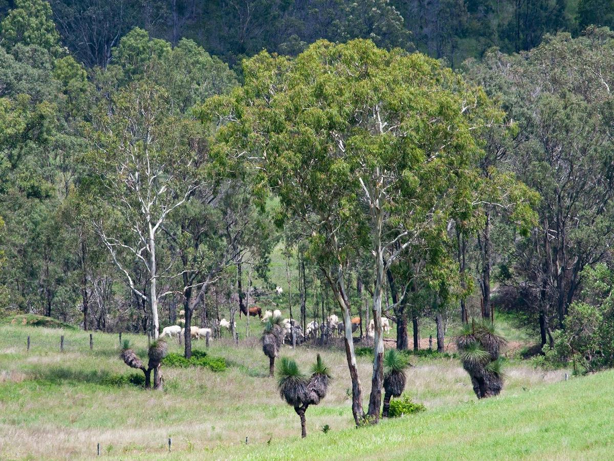 Mount Glorious to Mount Mee Car Tour