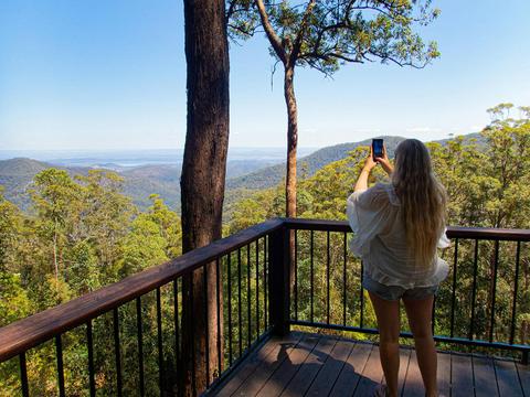 Brisbane Nature Tours