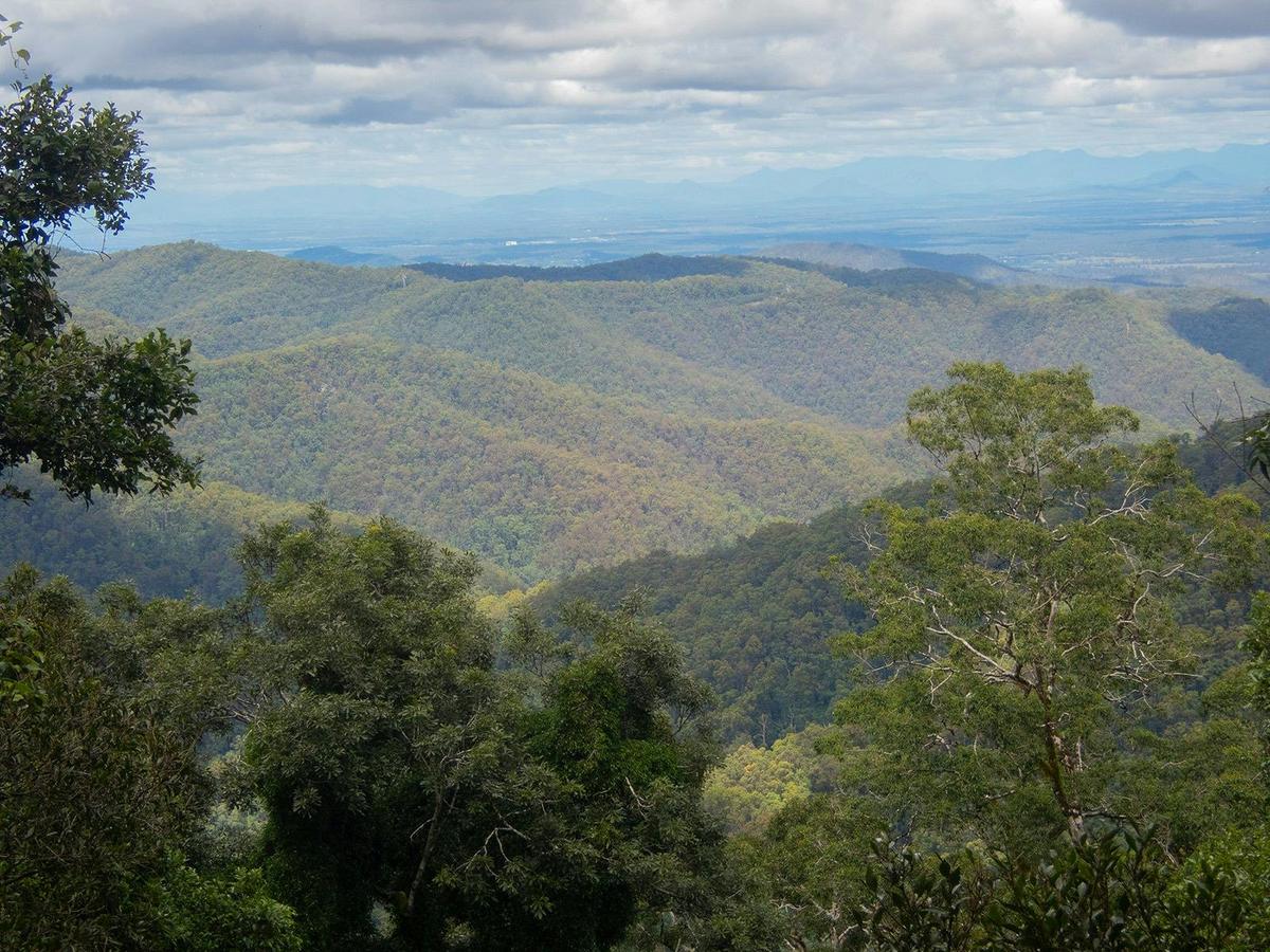 Maiala Rainforest Tour