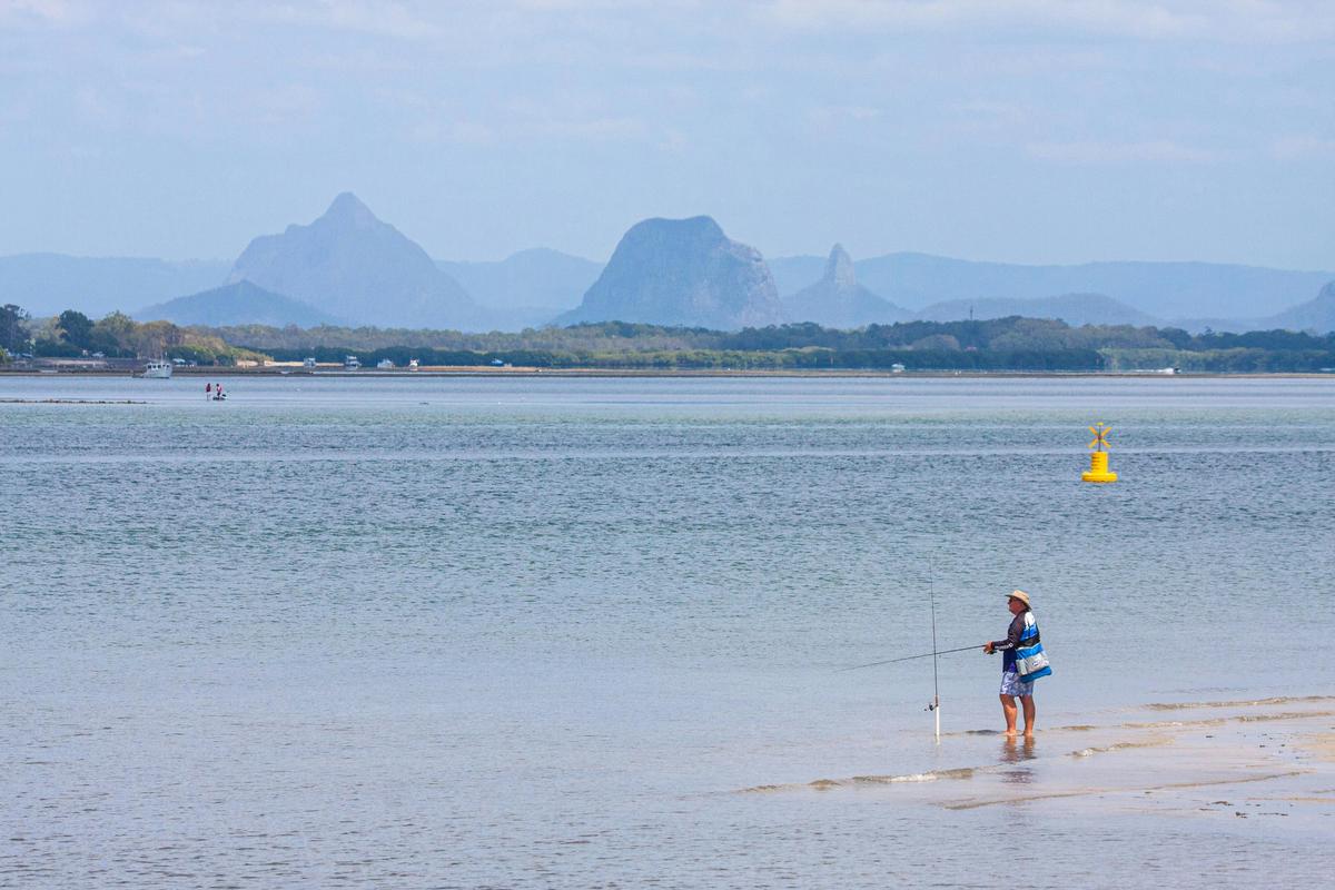 Bribie Island Birdlife Tour