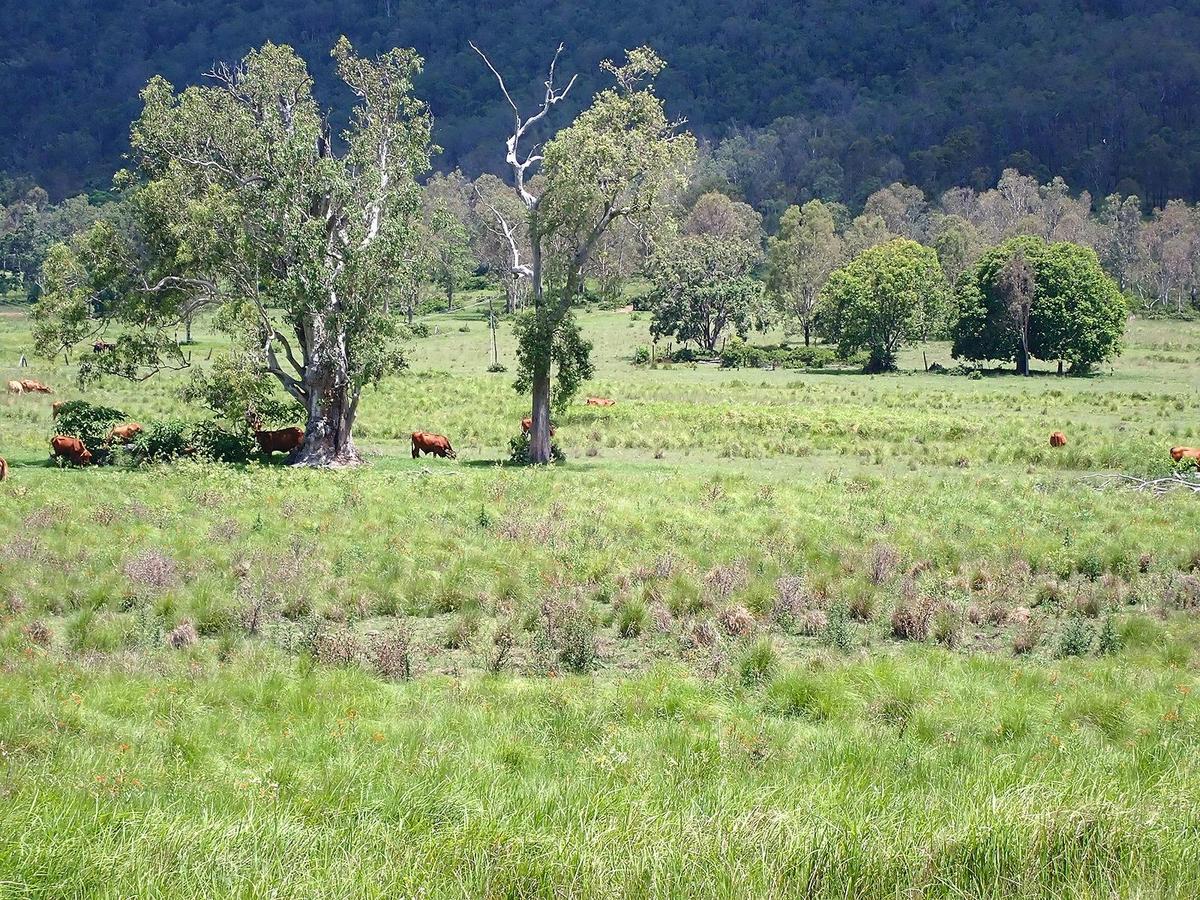 Mount Glorious to Mount Mee Car Tour