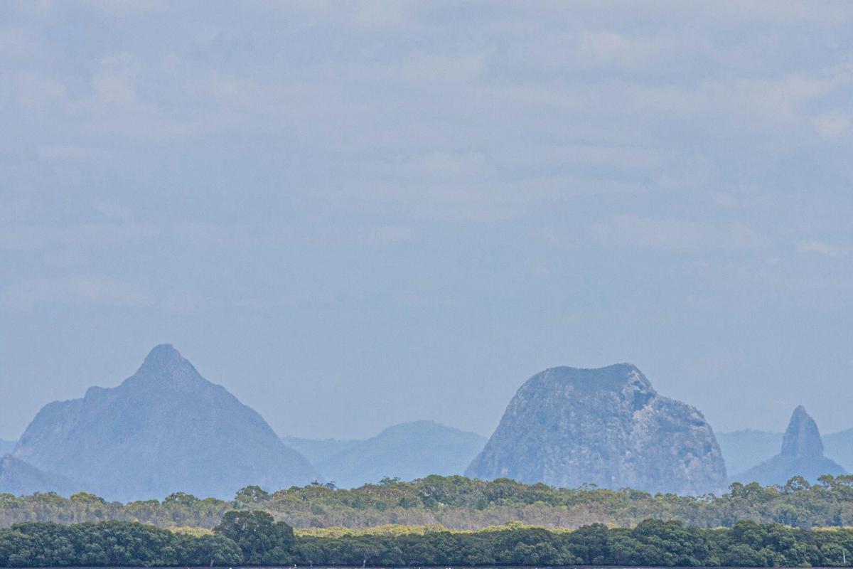 Bribie Island Birdlife Tour