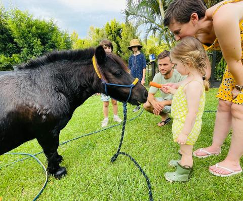 Brumbies Hollow Cabin Stay and Equine Experiences