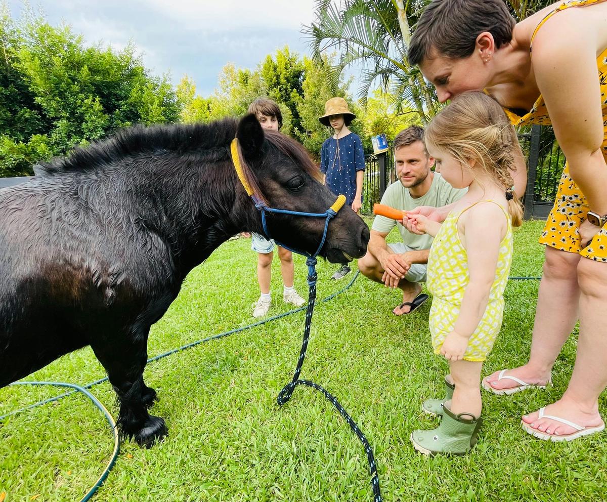 Equine Experiences at Brumbies Hollow Brisbane