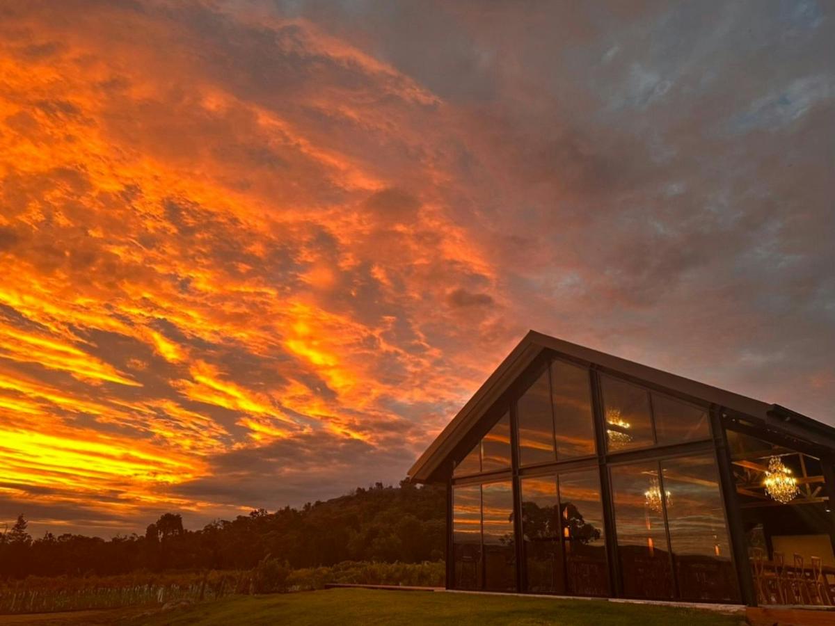 Sunset over Balancing Heart Vineyard Deck
