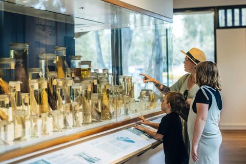 Bribie Island Seaside Museum