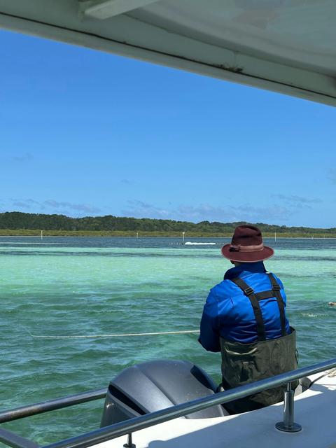Brisbane Oyster Tours