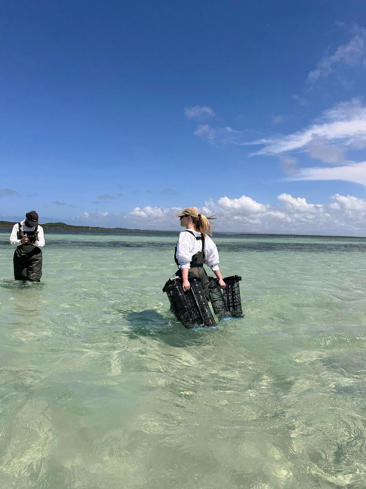 Brisbane Oyster Tours