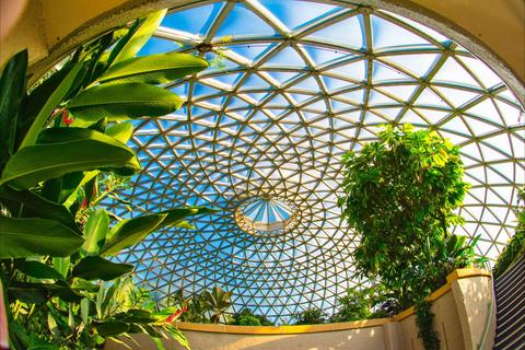 Brisbane Botanic Gardens Mount Coot-tha