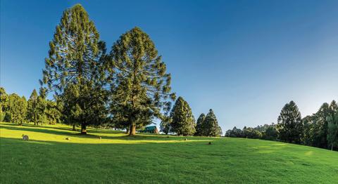 Bunya Mountains National Park