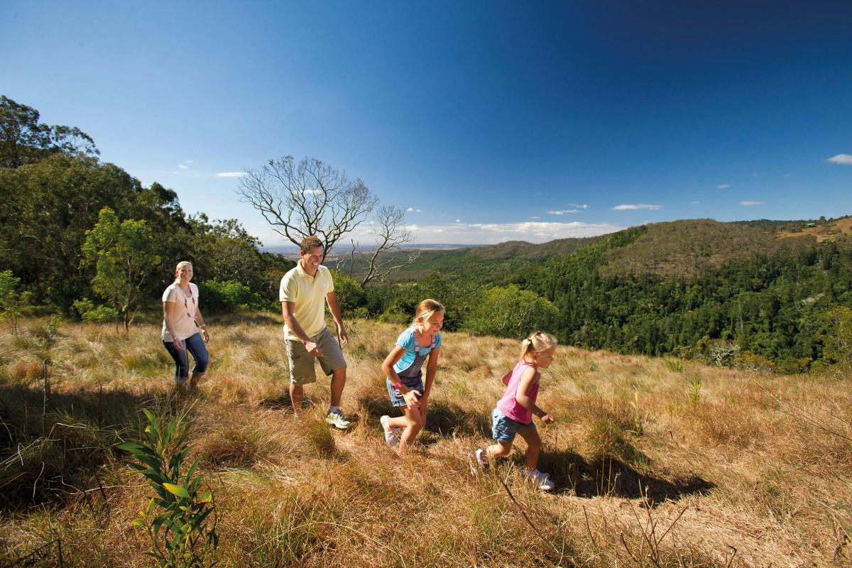 Grassy balds, Bunya Mountains National Park