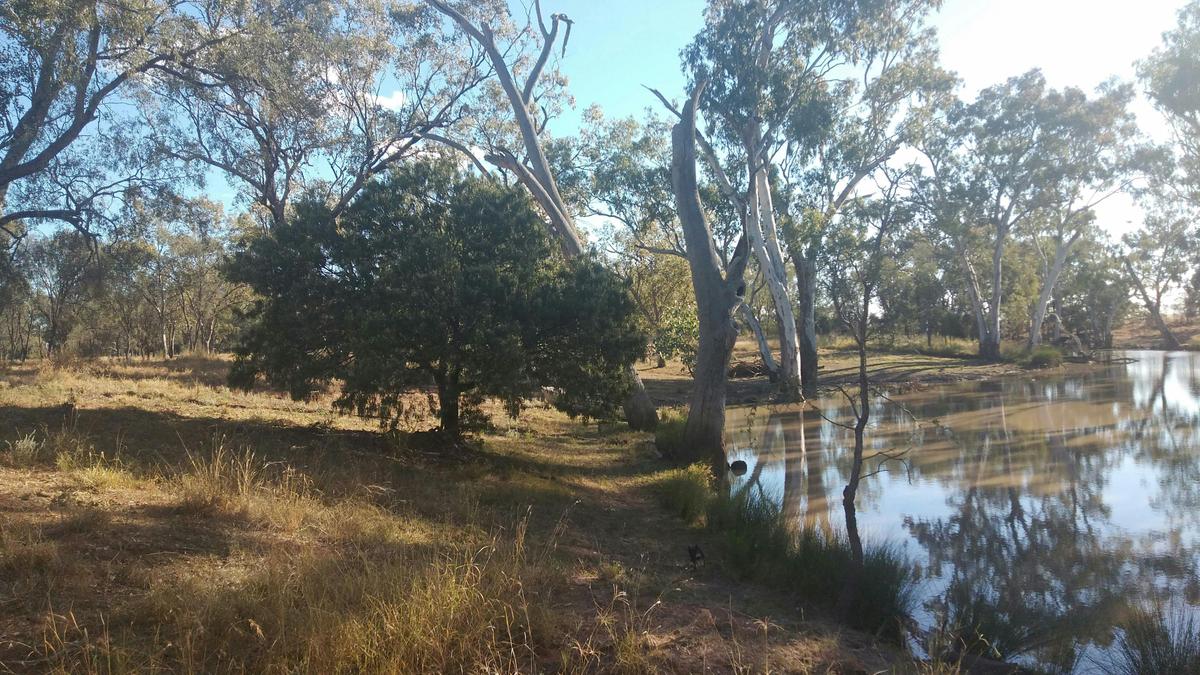 Brigalow Creek Camp