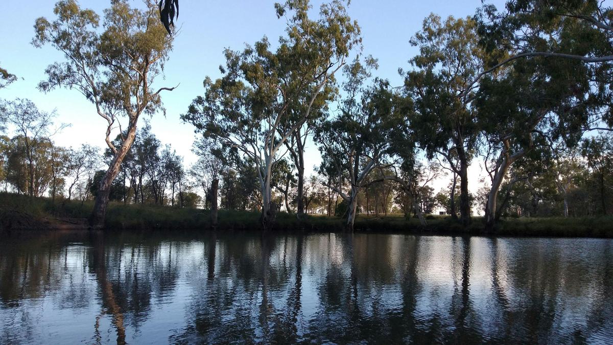 Brigalow Creek Camp