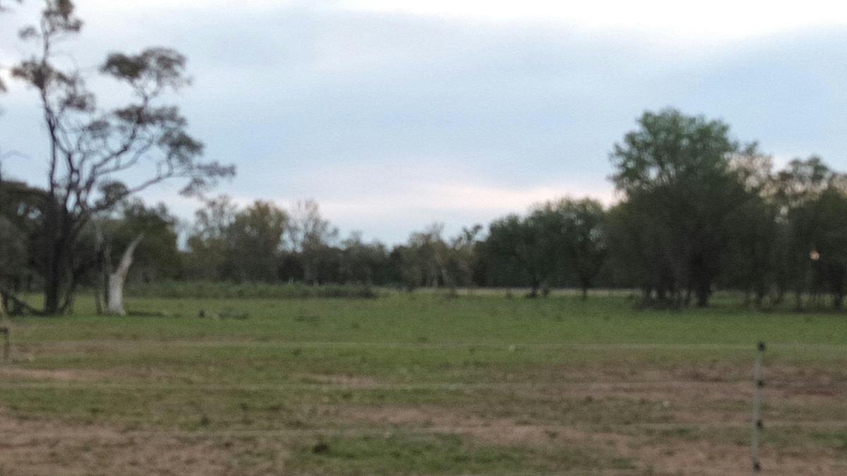 Brigalow Creek Camp