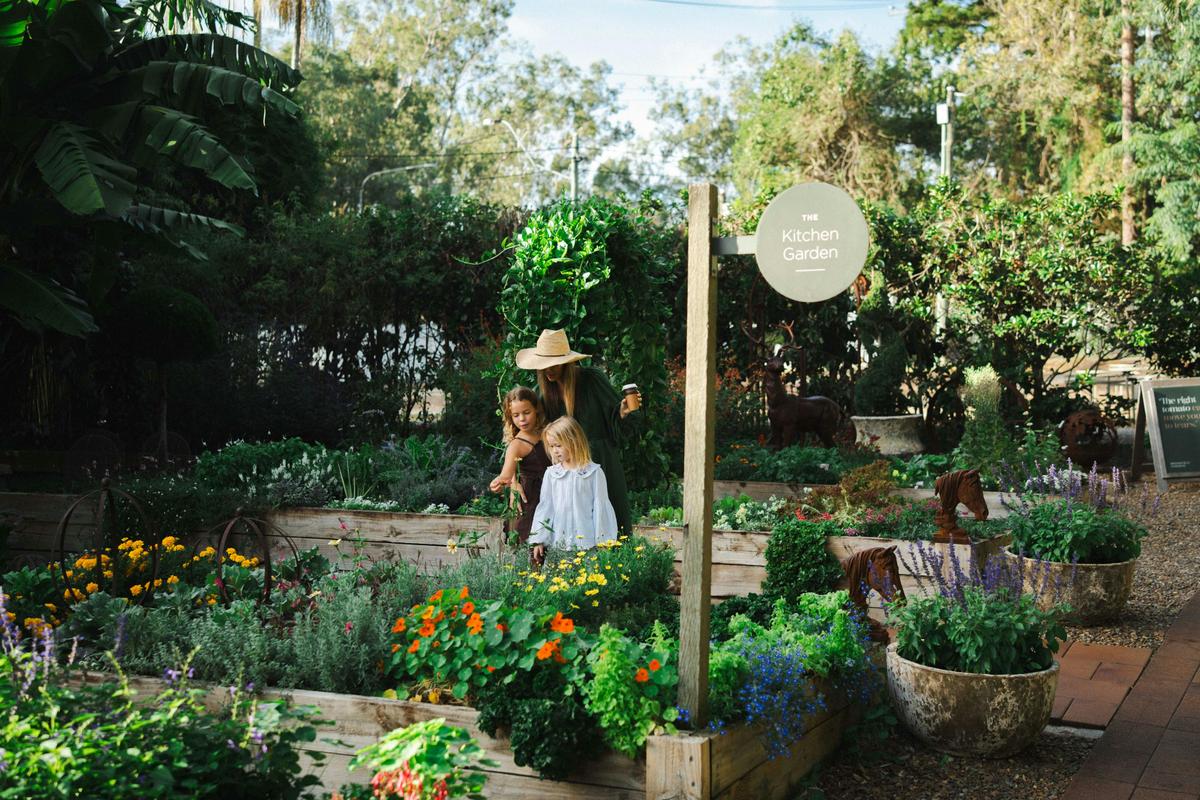 Working kitchen gardens for you to explore