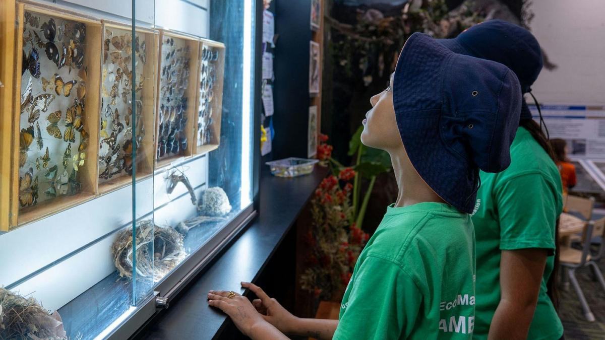 Caboolture Regional Environment Education Centre
