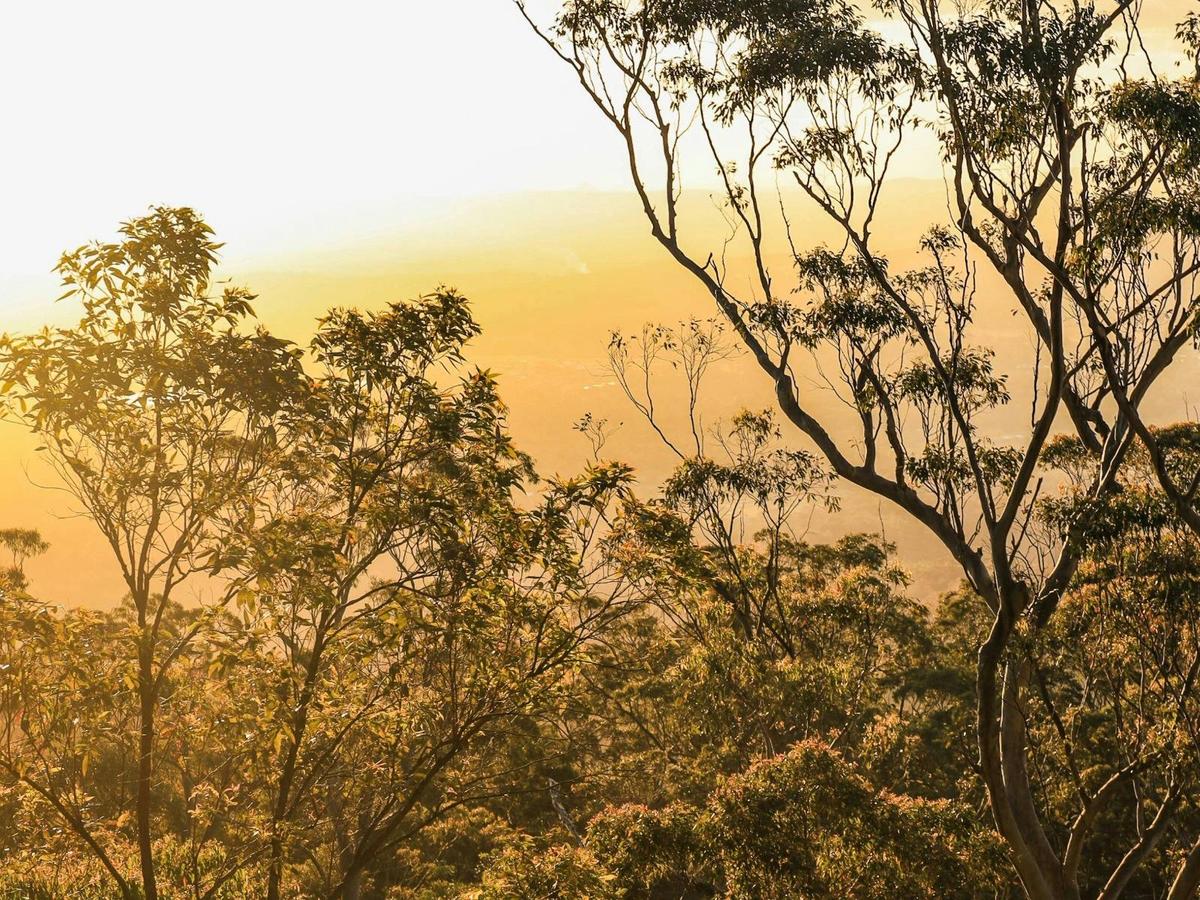 Sunset Mount Tamborine