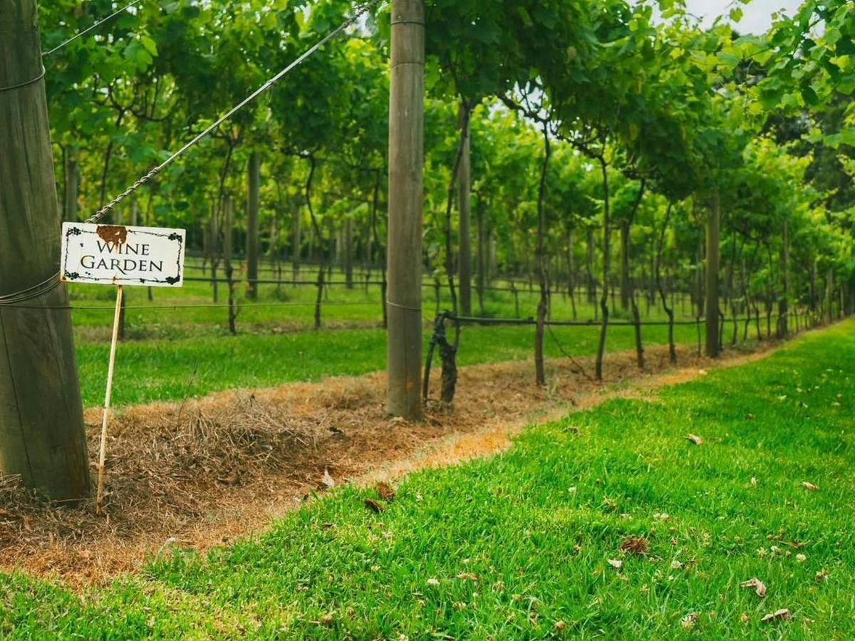 Mount Tamborine Winery